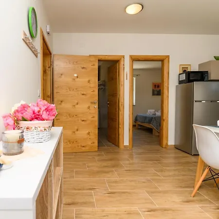 Guest house Forever Miholascica